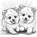 Playful Pomeranian Puppies Coloring Pages 1