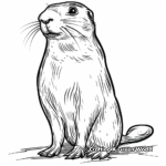 Prairie Dog and Prairie Falcon Coloring Pages 1