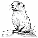 Prairie Dog and Prairie Falcon Coloring Pages 3