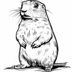 Prairie Dog and Prairie Falcon Coloring Pages 4