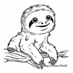 Rainforest Scenery with Baby Sloth Coloring Pages 2