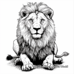 Realistic African Lion Coloring Pages 3