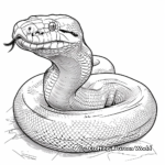 Realistic Anaconda Coloring Pages 2