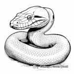 Realistic Anaconda Coloring Pages 3