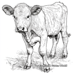 Realistic Dairy Cow Coloring Pages 4