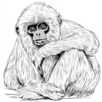 Realistic Gibbon Monkey Coloring Sheets 2