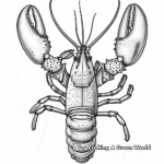 Realistic Maine Lobster Coloring Pages 3