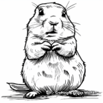 Realistic Prairie Dog Coloring Sheets 1