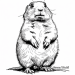 Realistic Prairie Dog Coloring Sheets 4