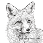 Realistic Red Fox Coloring Pages for Adults 1