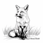 Realistic Red Fox Coloring Pages for Adults 2