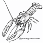 Reef Lobster Coloring Pages for Aquarium Enthusiasts 1