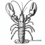 Rock Lobster Coloring Page for All Ages 2