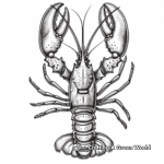 Rock Lobster Coloring Page for All Ages 4