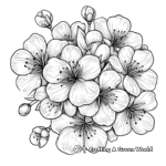 Romantic Cherry Blossom Coloring Pages 1