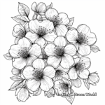 Romantic Cherry Blossom Coloring Pages 2