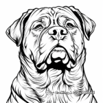 Rottweiler Face Coloring Pages: Capture Their Strength 1