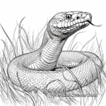 Scary Snake in the Grass Coloring Pages 2