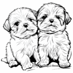 Shih Tzu Puppies Coloring Pages 1