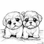 Shih Tzu Puppies Coloring Pages 2