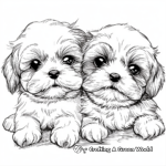 Shih Tzu Puppies Coloring Pages 3