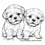 Shih Tzu Puppies Coloring Pages 4