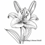 Simple Garden Lily Coloring Pages for Children 1