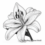 Simple Garden Lily Coloring Pages for Children 3