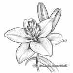 Simple Garden Lily Coloring Pages for Children 4