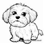 Simple Maltese Dog Coloring Pages for Toddlers 3