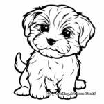 Simple Maltese Dog Coloring Pages for Toddlers 4