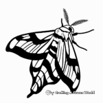 Simple Tiger Moth Coloring Pages for Children 2