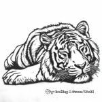 Sleeping Bengal Tiger Coloring Pages 1