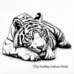 Sleeping Bengal Tiger Coloring Pages 3