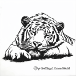 Sleeping Bengal Tiger Coloring Pages 4