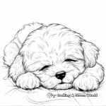 Sleepy Bichon Frise Puppy Coloring Pages 1