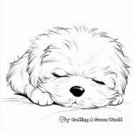 Sleepy Bichon Frise Puppy Coloring Pages 4