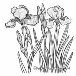 Spring Irises Coloring Pages: Blooming and Closed 2