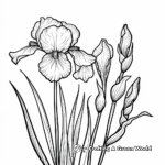 Spring Irises Coloring Pages: Blooming and Closed 4