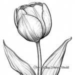Springtime Tulip Coloring Pages 3
