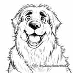 St. Bernard Face Coloring Pages: The Gentle Giant 3