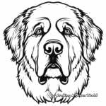 St. Bernard Face Coloring Pages: The Gentle Giant 4