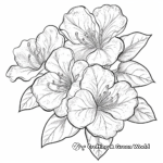 Stunning Azalea Flowers Coloring Pages 4