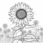 Sunflower Field Coloring Pages 2