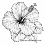 Tropical Hibiscus Flower Coloring Pages 3