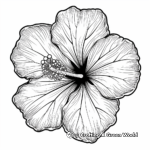 Tropical Hibiscus Flower Coloring Pages 4