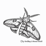 Tropical Oleander Hawk-moth Coloring Pages 2