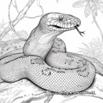 Tropical Rainforest Anaconda Coloring Pages 1