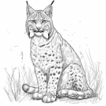 Wild Bobcat in the Forest Coloring Pages 2