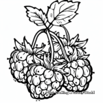 Wild Raspberry Coloring Pages 3